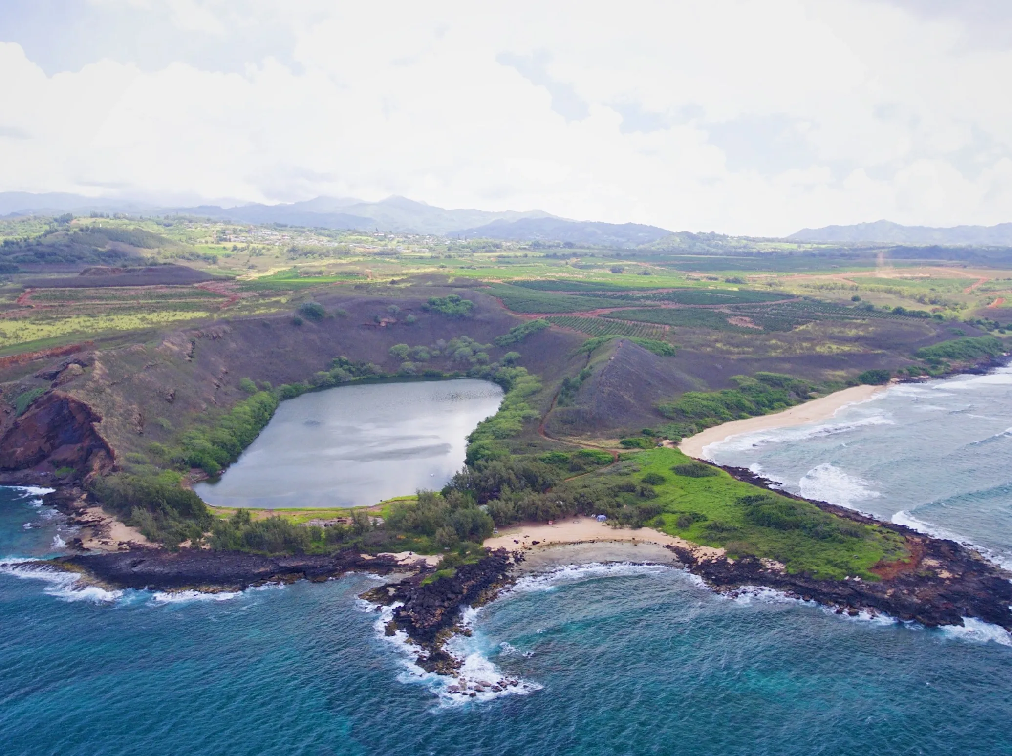 Kauai Sea Farms