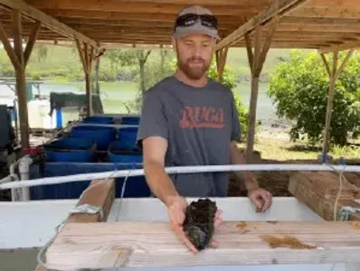 Dave Anderson with a sea cucumber at Kauai Sea Farm